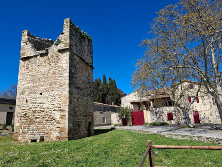 GARRIGUES , son célèbre pigeonnier